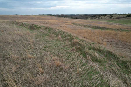 Southwest Iowa Recreational CRP Farm - image 34