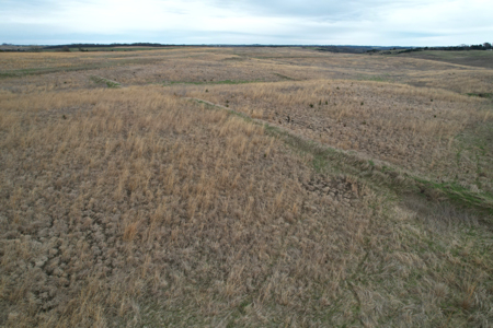 Southwest Iowa Recreational CRP Farm - image 18