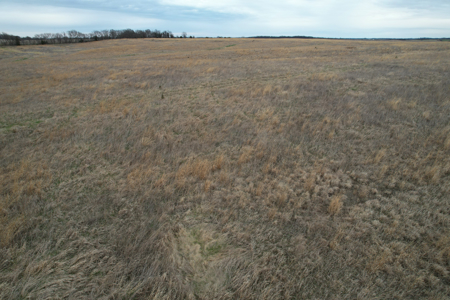 Southwest Iowa Recreational CRP Farm - image 14