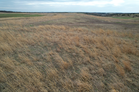 Southwest Iowa Recreational CRP Farm - image 13