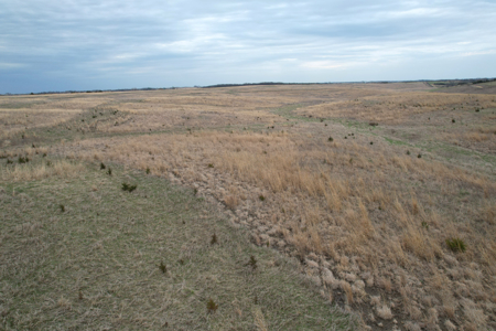 Southwest Iowa Recreational CRP Farm - image 5