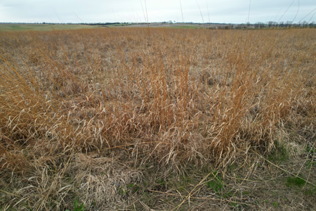 Southwest Iowa Recreational CRP Farm - image 26