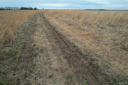 Southwest Iowa Recreational CRP Farm - image 36