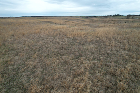 Southwest Iowa Recreational CRP Farm - image 9