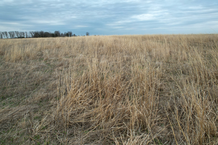 Southwest Iowa Recreational CRP Farm - image 32