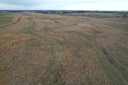 Southwest Iowa Recreational CRP Farm - image 11