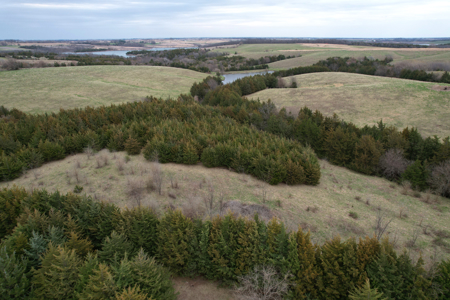 Southwest Iowa Combination Farm - image 16