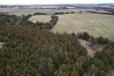 Southwest Iowa Combination Farm - image 11