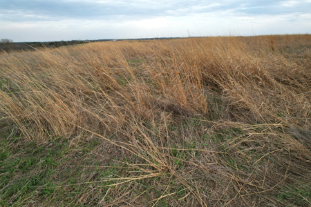 Southwest Iowa Combination Farm - image 8