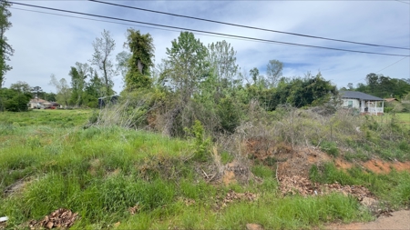 Beautiful Corner Lot located in Hughes Springs Texas - image 4