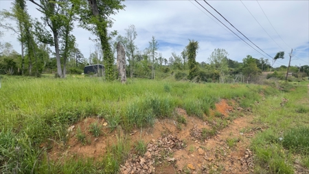 Beautiful Corner Lot located in Hughes Springs Texas - image 5