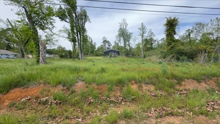 Beautiful Corner Lot located in Hughes Springs Texas - image 2