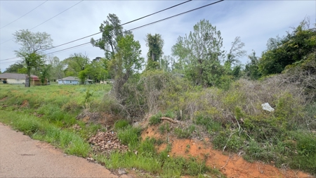 Beautiful Corner Lot located in Hughes Springs Texas - image 3