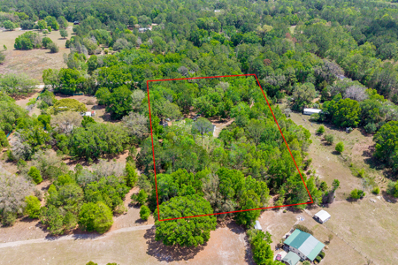 Beautiful Home on 5 Acres for Sale in Fort White, FL - image 45