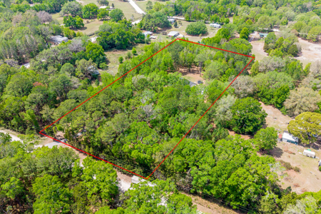 Beautiful Home on 5 Acres for Sale in Fort White, FL - image 46