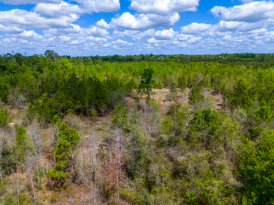 5-Acre Wooded Retreat Near Live Oak & Suwannee River - image 10