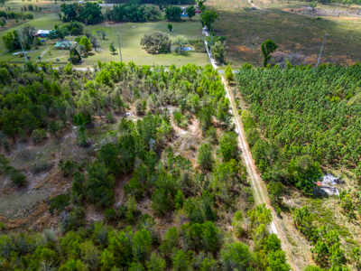 5-Acre Wooded Retreat Near Live Oak & Suwannee River - image 3