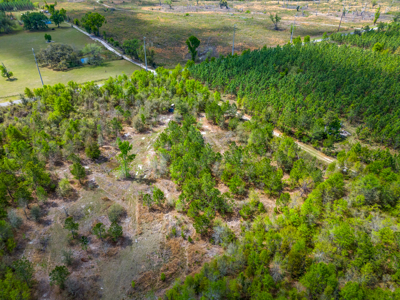 5-Acre Wooded Retreat Near Live Oak & Suwannee River - image 2