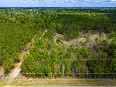 5-Acre Wooded Retreat Near Live Oak & Suwannee River - image 8