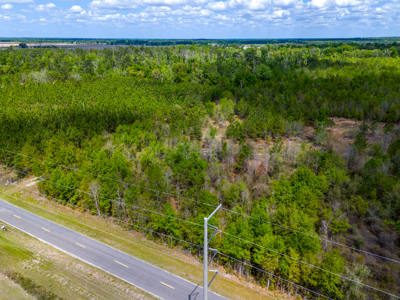 5-Acre Wooded Retreat Near Live Oak & Suwannee River - image 9