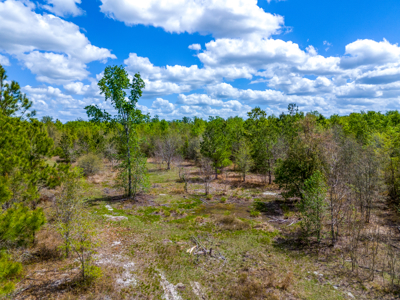 5-Acre Wooded Retreat Near Live Oak & Suwannee River - image 4
