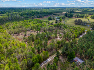 5-Acre Wooded Retreat Near Live Oak & Suwannee River - image 6