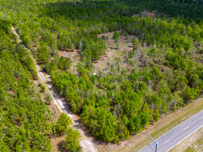 5-Acre Wooded Retreat Near Live Oak & Suwannee River - image 7