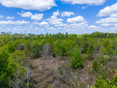 5-Acre Wooded Retreat Near Live Oak & Suwannee River - image 11