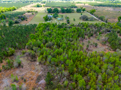 5-Acre Wooded Retreat: No Restrictions Near Suwannee River - image 4
