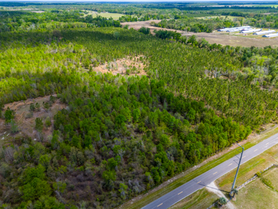 5-Acre Wooded Retreat: No Restrictions Near Suwannee River - image 11