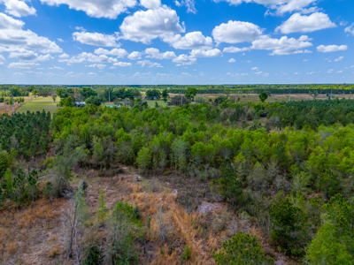 5-Acre Wooded Retreat: No Restrictions Near Suwannee River - image 9
