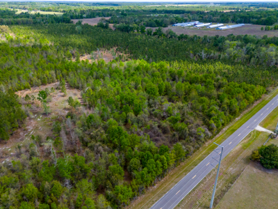 5-Acre Wooded Retreat: No Restrictions Near Suwannee River - image 6