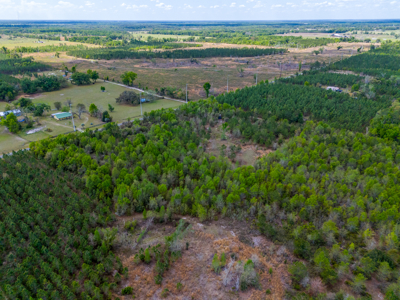 5-Acre Wooded Retreat: No Restrictions Near Suwannee River - image 8
