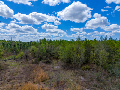 5-Acre Wooded Retreat: No Restrictions Near Suwannee River - image 5