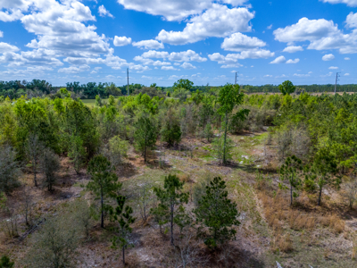 5-Acre Wooded Retreat: No Restrictions Near Suwannee River - image 12