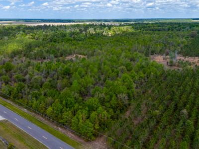 5-Acre Wooded Retreat: No Restrictions Near Suwannee River - image 3