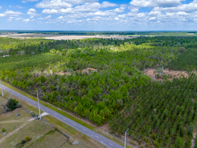 5-Acre Wooded Retreat: No Restrictions Near Suwannee River - image 7