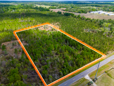 5-Acre Wooded Retreat: No Restrictions Near Suwannee River - image 2