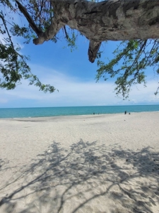 Prime Development Lot Near Buenaventura | Playa Blanca, Panama - image 16