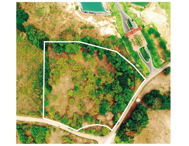 Prime Development Lot Near Buenaventura | Playa Blanca, Panama - image 6
