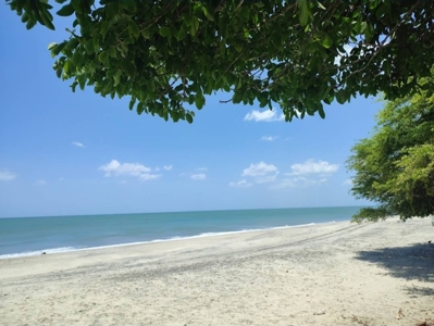Prime Development Lot Near Buenaventura | Playa Blanca, Panama - image 17