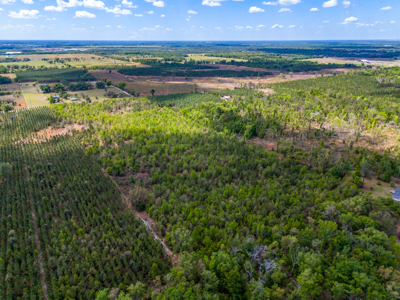 20-Acre Unrestricted Farm: High & Dry Near Live Oak - image 6