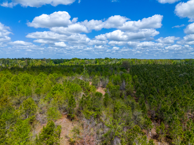 20-Acre Unrestricted Farm: High & Dry Near Live Oak - image 10