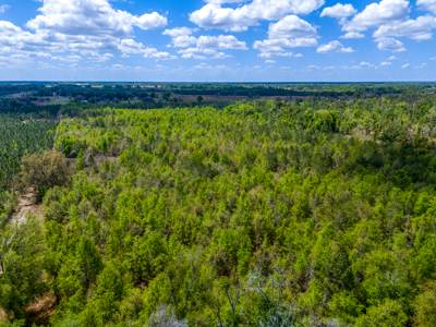 20-Acre Unrestricted Farm: High & Dry Near Live Oak - image 12