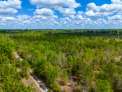 20-Acre Unrestricted Farm: High & Dry Near Live Oak - image 9