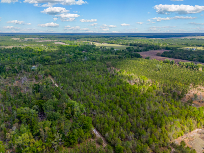 20-Acre Unrestricted Farm: High & Dry Near Live Oak - image 3