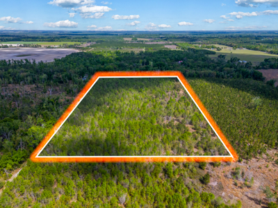 20-Acre Unrestricted Farm: High & Dry Near Live Oak - image 2