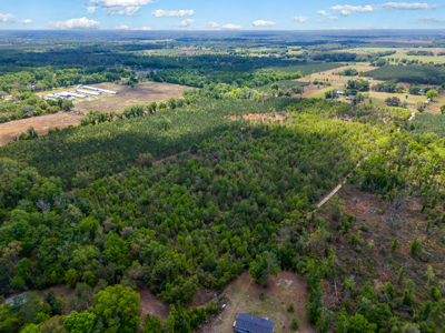 20-Acre Unrestricted Farm: High & Dry Near Live Oak - image 8