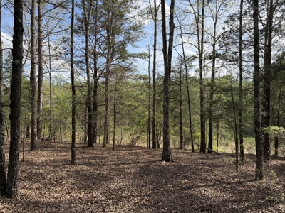 Country Estate Farm For Sale In Tn, 61.5 Ac, Creek, Fields, Barn - image 46