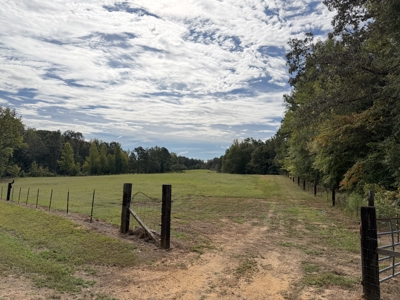 Country Estate Farm For Sale In Tn, 61.5 Ac, Creek, Fields, Barn - image 42